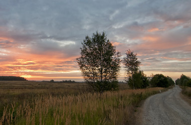 Similar image 998933