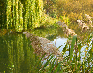 Similar image 998948