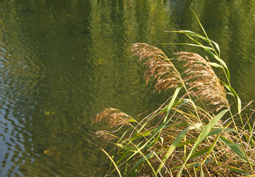 Similar image 998952