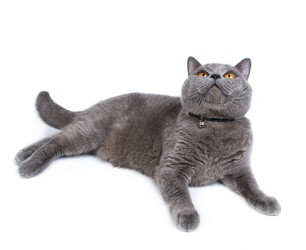 Similar image 999037