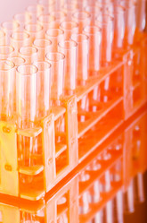 Similar image 999038