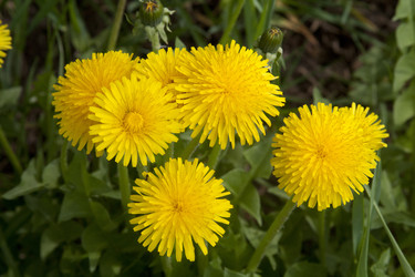 Similar image 999128