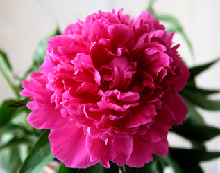 Similar image 999134