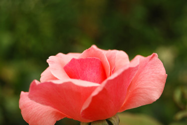 Similar image 999170