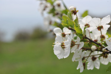 Similar image 999254