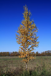 Similar image 999434