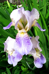 Similar image 999463