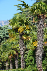 Similar image 999470