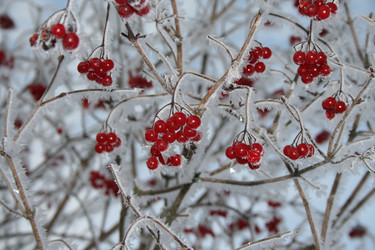 Similar image 999517