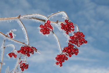 Similar image 999518