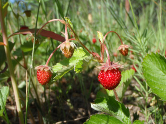 Similar image 999653