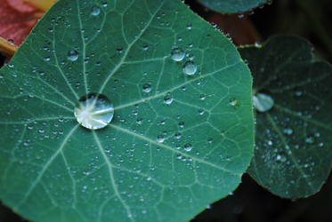 Similar image 999660