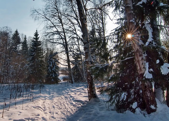 Similar image 999695