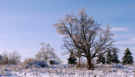 Similar image 999750