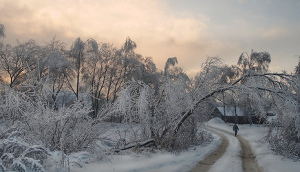 Similar image 999769