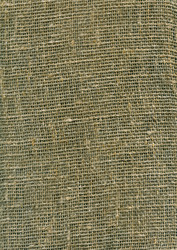 Similar image 999910