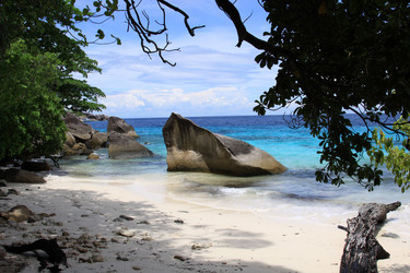 Similar image 1006061