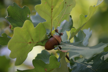 Similar image 1006085