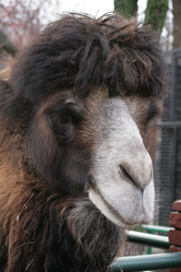 Similar image 1006088