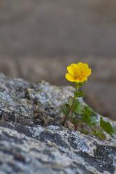 Similar image 1006096