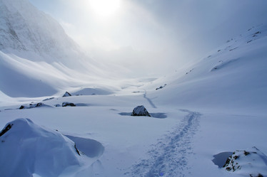 Similar image 1006121