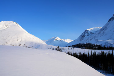 Similar image 1006127