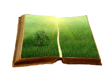 Similar image 1006171