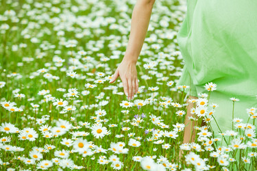 Similar image 1006183