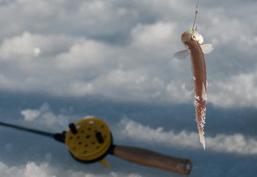 Similar image 1006585