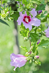 Similar image 1006885