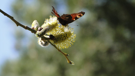 Similar image 1007105