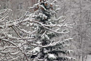 Similar image 1007162