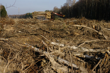 Similar image 1007170