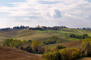 Similar image 1007191