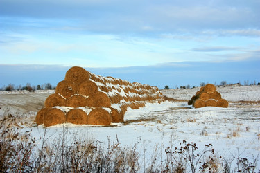 Similar image 1007203