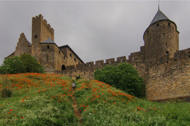 Similar image 1007211