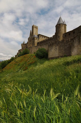 Similar image 1007212