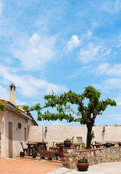 Similar image 1007219