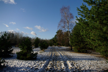 Similar image 1007268