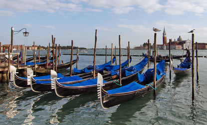 Similar image 1007270