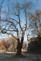 Similar image 1007272