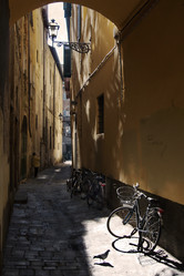 Similar image 1007296