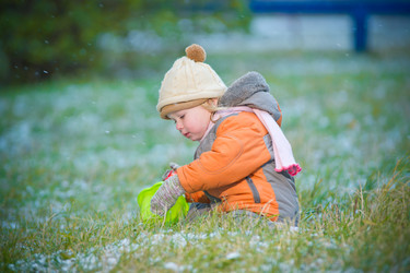 Similar image 1007385