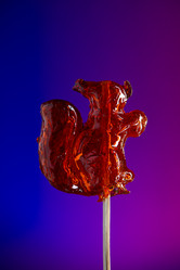 Similar image 1007445