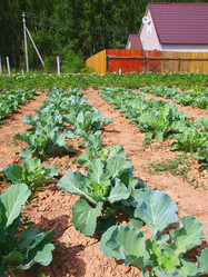 Similar image 1007474