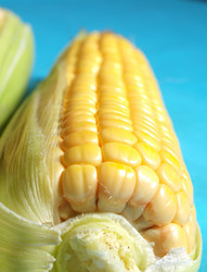 Similar image 1007483