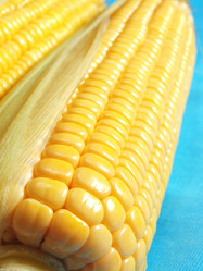 Similar image 1007486