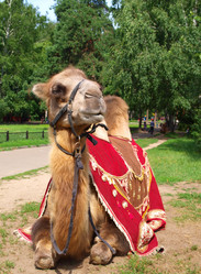 Similar image 1007490