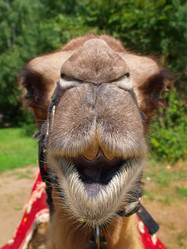 Similar image 1007497