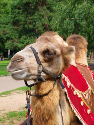 Similar image 1007502